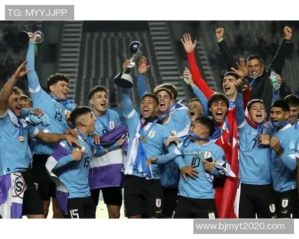 乌拉圭与法国比赛赔率分析及胜负预测探讨